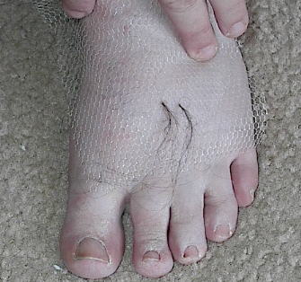 can barely see the netting!